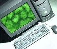 Virus/Spyware/Malware Removal