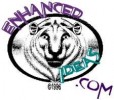 Enhanced Ideas