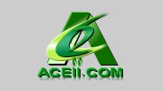 ACE Advanced Computer Expert