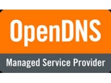 OpenDNS Managed Server Provider