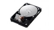 Data Backup