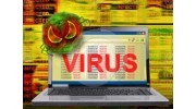 Virus Removal